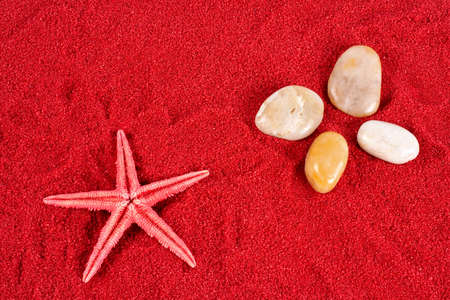 Starfish and four stones on the red sandの写真素材