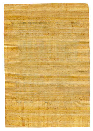 Papyrus sheet of paper on white backgroundの写真素材
