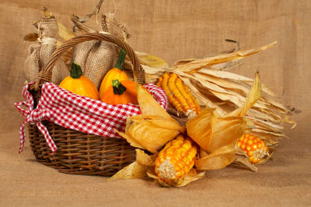 A yellow pumpkins and sacs in the basket and cobs, over burlap background. Shallow DOFの写真素材