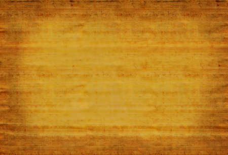 Papyrus sheet of paper on white backgroundの写真素材