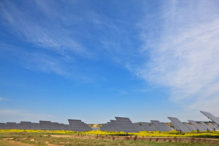 Solar panels in the power plant for renewable energyの写真素材