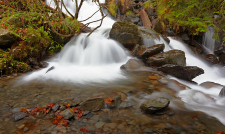 Autumn brook with mini waterfalls flowing in the national park