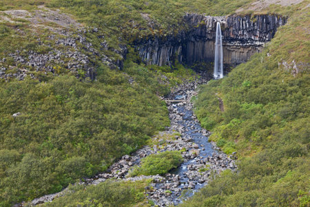 Svartifoss Waterfall, Skaftafell Park, Icelandの写真素材