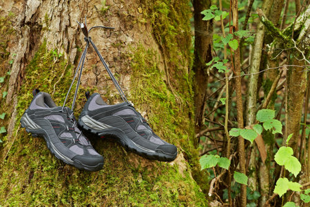 A pair of hiking boots in the tree. Shallow depth of field and blurred backgroundの写真素材