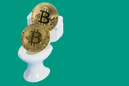 Concept of bitcoin losing value bitcoins in toiletの写真素材