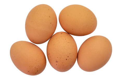 Top view of five brown speckled eggs isolated on a white background with clipping pathsの写真素材