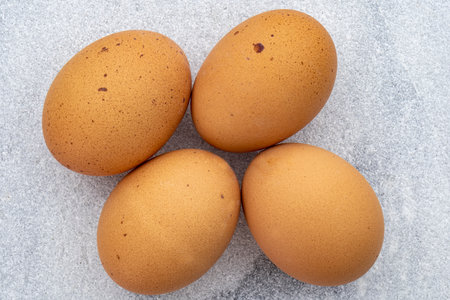 Top down view of four brown speckled eggs on a marble countertop shows a modern clean feelの写真素材