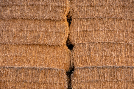 stack of yellow hay straw bales background alfalfa horizontal
