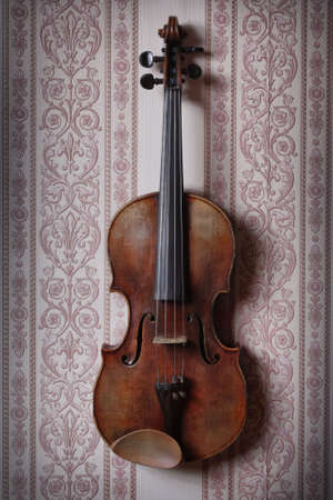 violinの写真素材