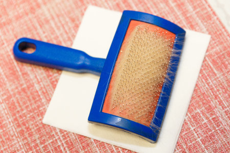 Comb with cat hair. Combing excess hair from Pets.の写真素材