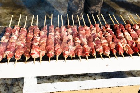 Marinated meat is roasted on the coals in the barbecue.