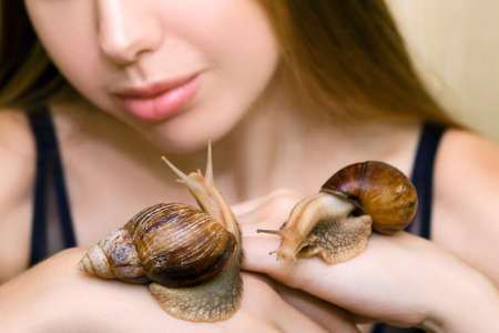 A young woman with a beautiful and clean face is holding large Achatina snails. The concept of using Achatina snails in cosmetology for cleaning and rejuvenating the skin of the face. Focus on evidence, woman in the background in soft focus.の写真素材