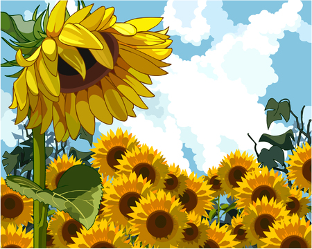 sunflower on the background of sunflowersのイラスト素材