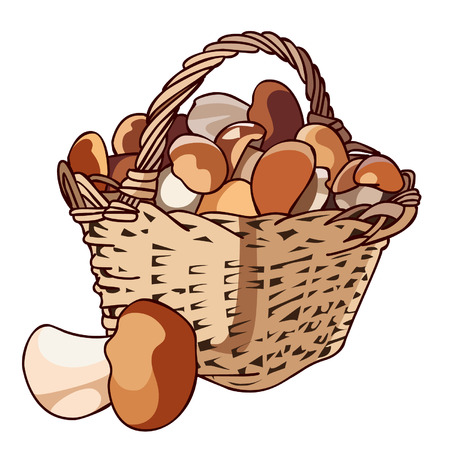 Basket with mushroomsのイラスト素材