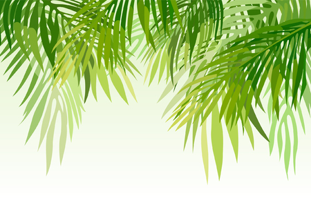 green palm leavesのイラスト素材