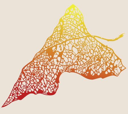 autumn leaf traceryのイラスト素材