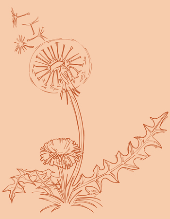 dandelion outline drawingのイラスト素材