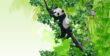 panda sitting on a tree in the jungleのイラスト素材