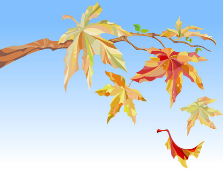 branch of maple with autumn leavesのイラスト素材