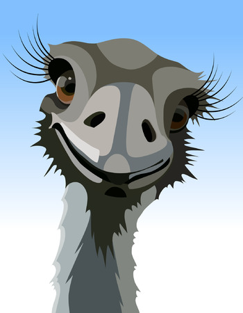cartoon smiling ostrich with long eyelashesのイラスト素材