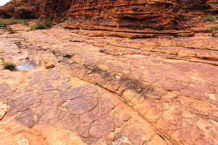 King's Canyon, Australia