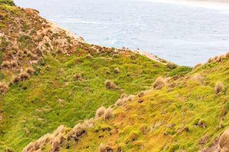 Phillip Island Coast, Victoria, Australiaの写真素材