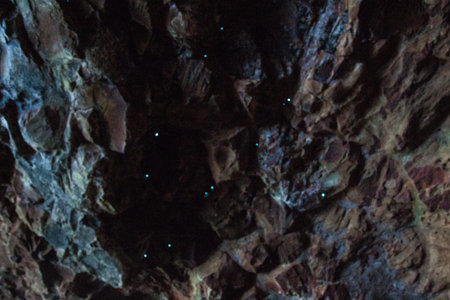 Glow-worms at Natural Bridge Park, Queensland, Australia