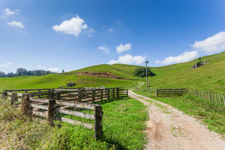 Countryside near Ruakuri Cave, North Island, New Zelandの写真素材