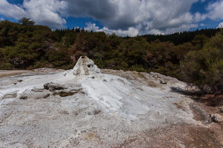 Lady Knox Geyser, North Island, New Zeland