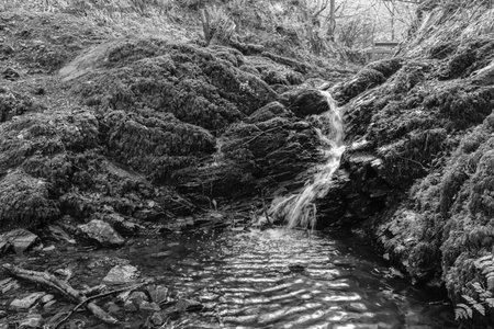 Cregagh Glen, Belfast, Northern Ireland, UK
