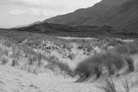 Maghera Beach, Donegal, Irelandの写真素材