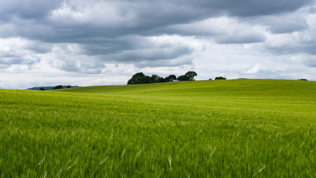 Near Giant's Ring, Belfast, Northern Ireland, UK