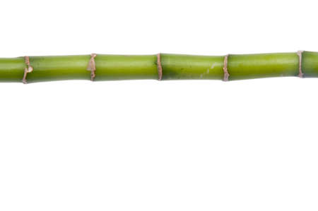 Bamboo Border or Background Isolated on White. File includes a clipping path.の写真素材
