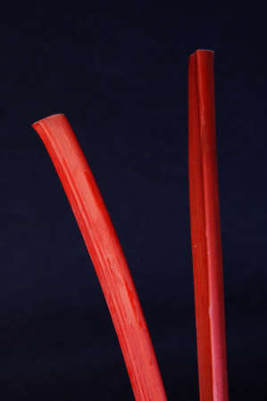 Fresh rhubarb (R. rhabarbarum) on a dark background shot in studio.  This photo is of the edible portion of the plant.の写真素材