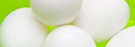 Banner image of eggs on a bright green background. A fresh, modern take on good health and Easter.の写真素材