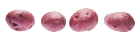 Four Red Potatoes isolated on white with a clipping path.の写真素材