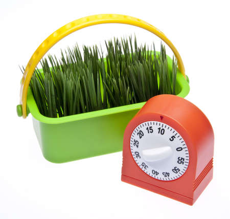 It's time for spring!  Timer clock with fresh green grass isolated on whiteの写真素材