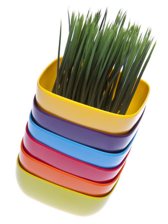 Stack of vibrantly colored bowls topped with fresh green grass.の写真素材