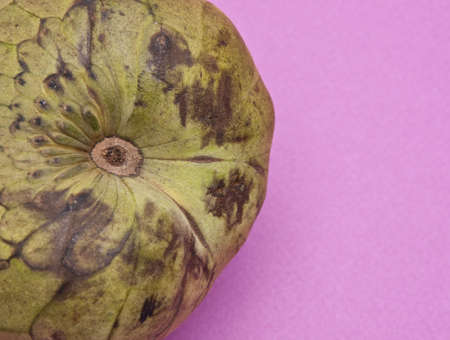 Cherimoya Broder on a vibrant purple colored backgroundの写真素材
