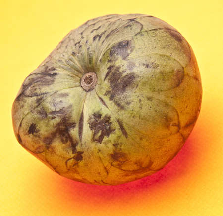 Cherimoya on a vibrant yellow background.の写真素材