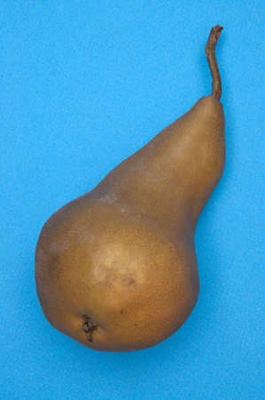 Pear on a vibrant blue background.の写真素材