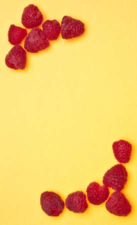 Raspberry Border on a vibrant yellow background.の写真素材