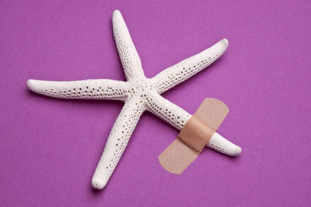 Starfish with a plaster for an environmental ocean themed concept image.の写真素材