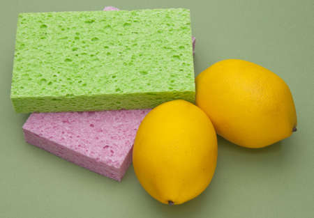 Sponges and Lemons on a Sage Colored Background.の写真素材