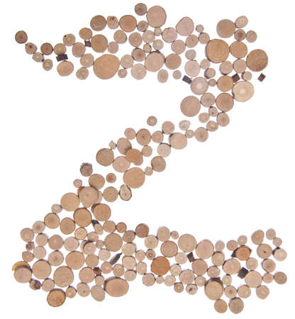 Letter Z in Small Tree Stumpsの写真素材