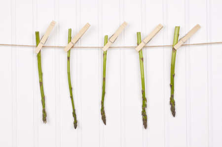 Summer Asparagus Hanging from a Clothesline on a White Textured Background.の写真素材