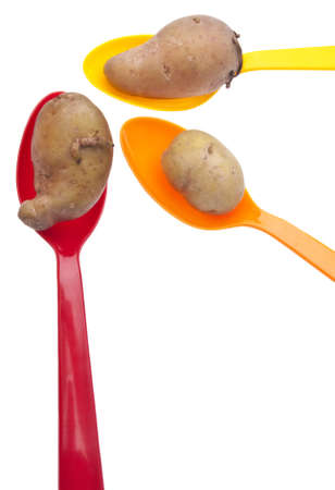 Fingerling Artisan Heritage Potatoes are Small and Fit in Vibrant Colored Spoons.の写真素材
