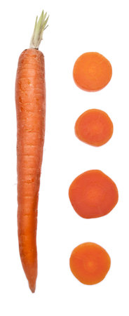Canned and Fresh Carrots