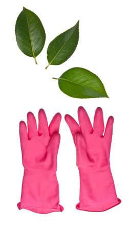 Green Cleaning Concept : Pink Mass Produced Cleaning Gloves Reaching for Green Leaves - a Greener More Natural Way to Clean.の写真素材