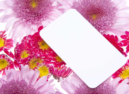 Beautiful Flower Background Image with Blank Business Card.の写真素材